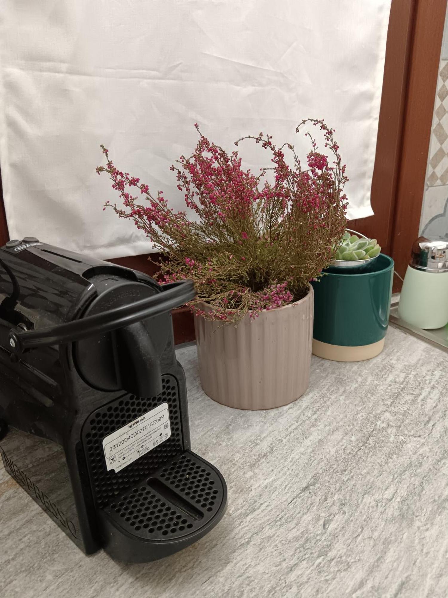 Casa Petri Home Spa Палермо Екстериор снимка